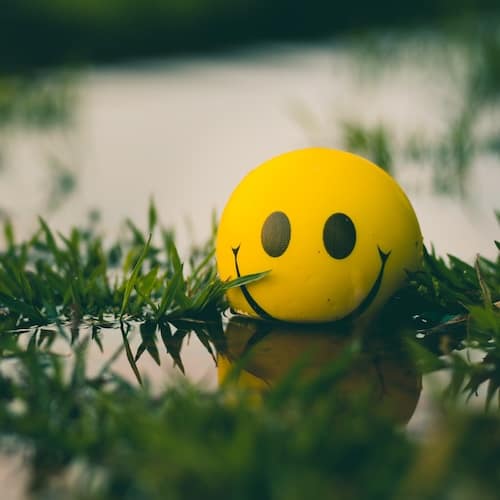 Sprachtrainer bei kommunikeet