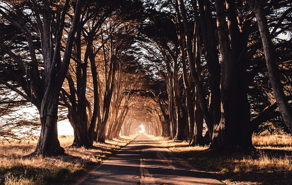 kommunikeet. Das Spracheninstitut für Unternehmen und Hochschulen