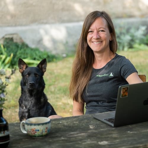 Firmensprachkurse und Übersetzungen in Dresden